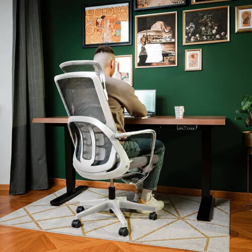 Ergonomisk kontorstol Liftor Orca, grå