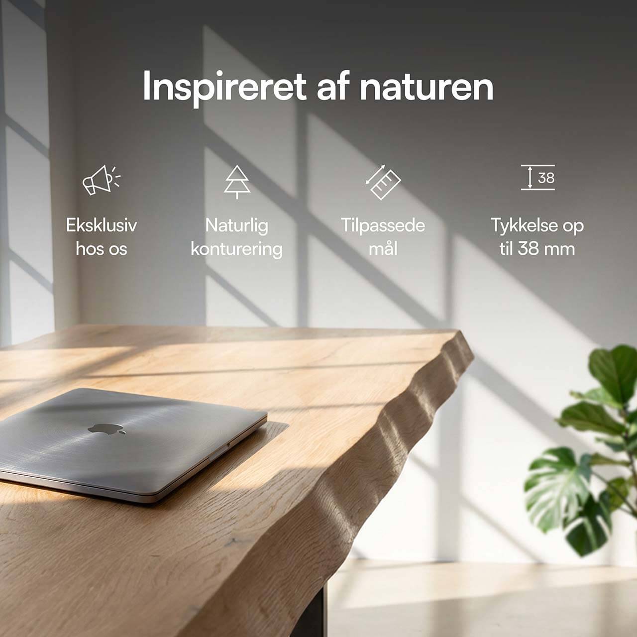 foto77.jpg