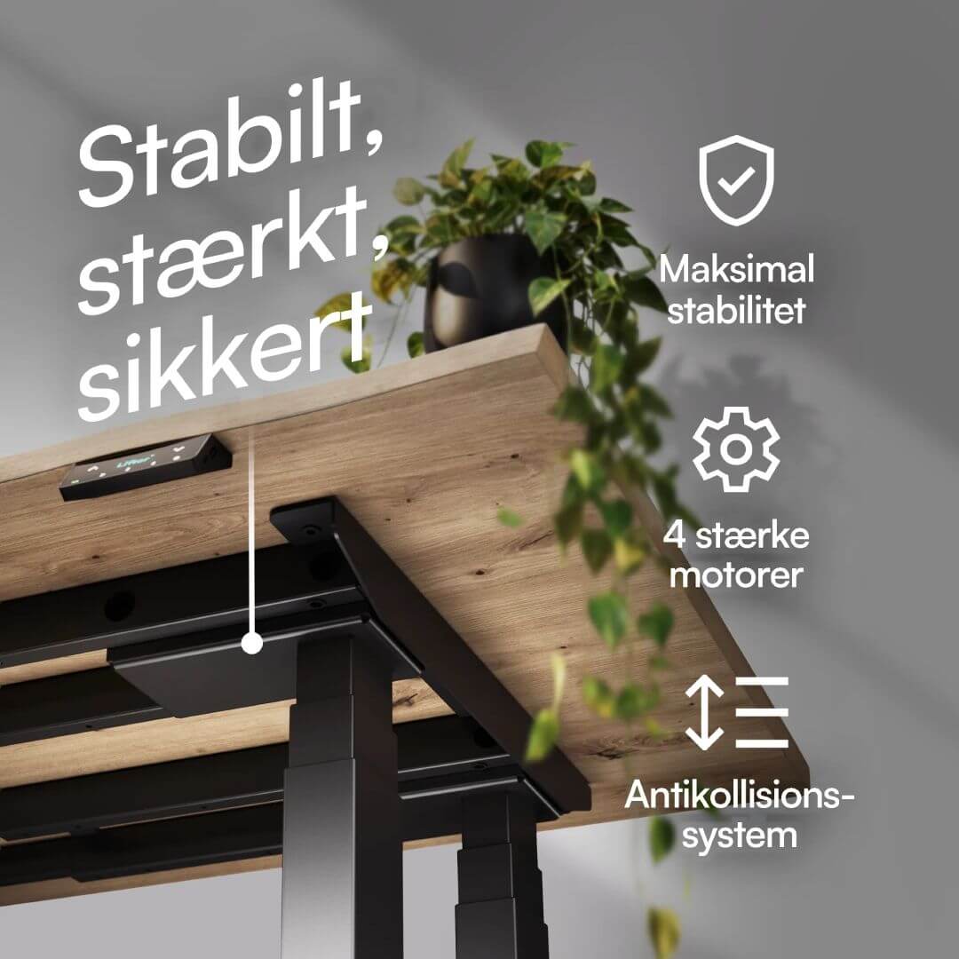 foto46.jpg
