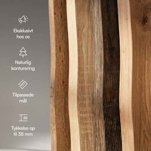 foto81.jpg