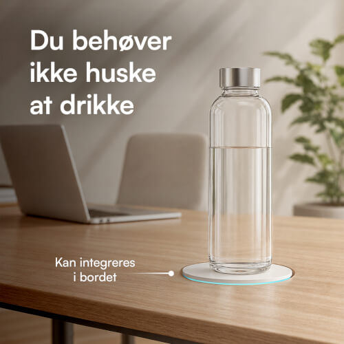 foto19.jpg