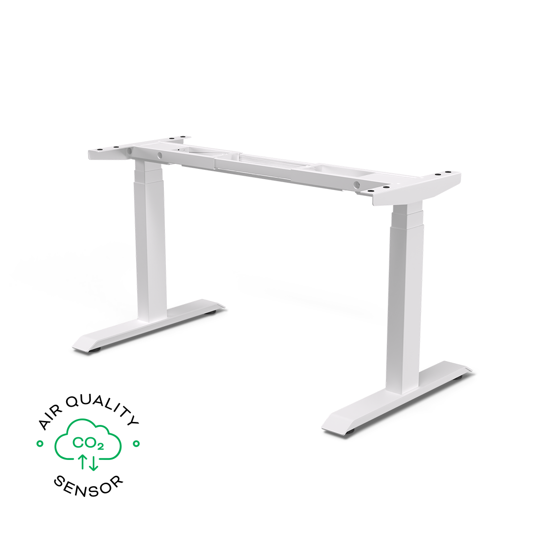 Liftor Expert, sort